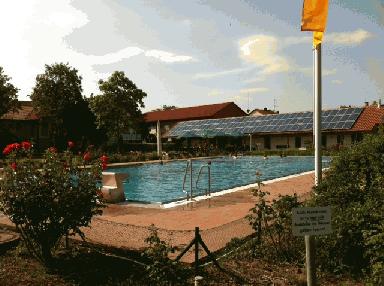 images/bad107/pic_Freibad_Wachenheim.JPG