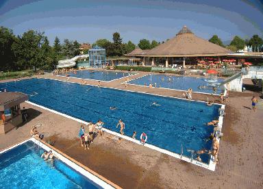 bellamar